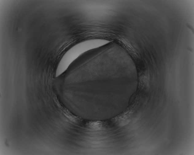 X0000097510325200803201621