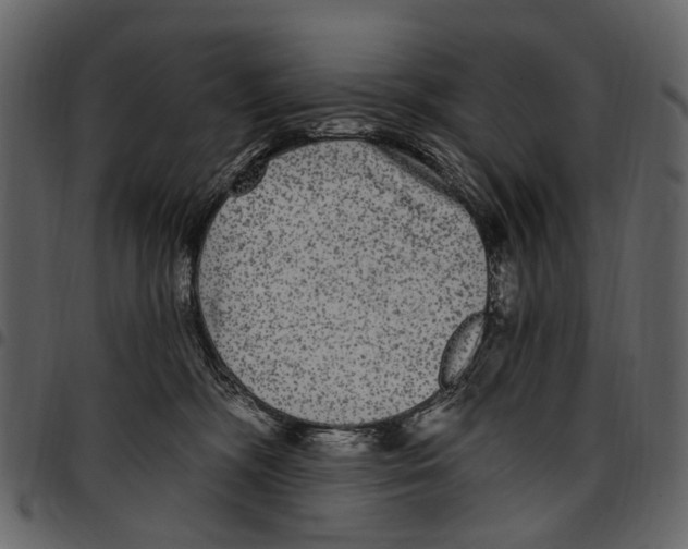 X0000097510326200803201621