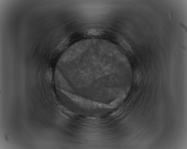 X0000097510328200803201621