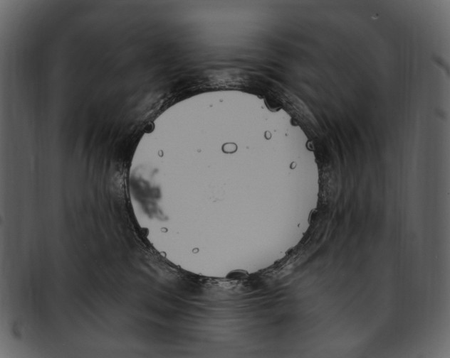 X0000097510329200803201621