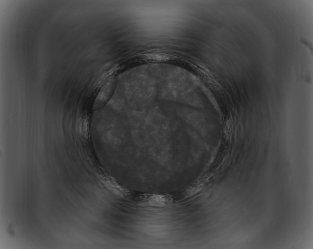 X0000097510330200803201621