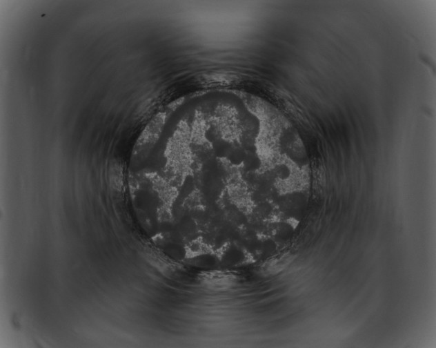 X0000097510331200803201620