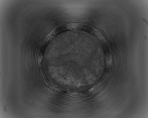 X0000097510332200803201620