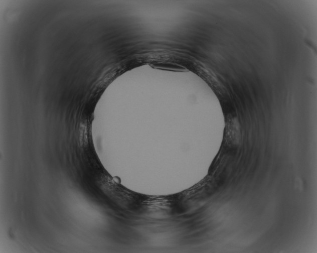 X0000097510333200803201620