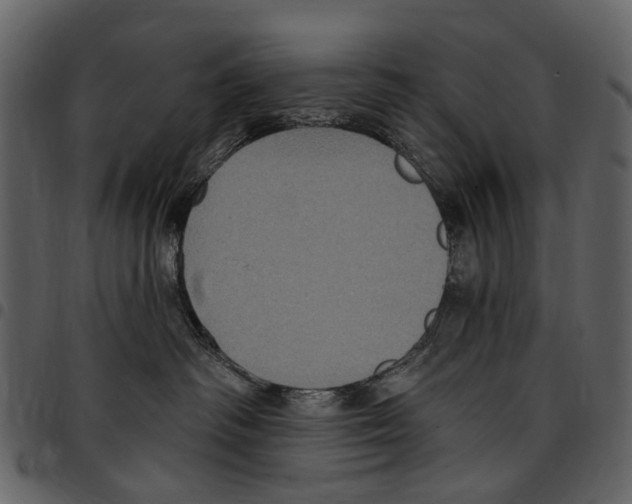 X0000097510334200803201620