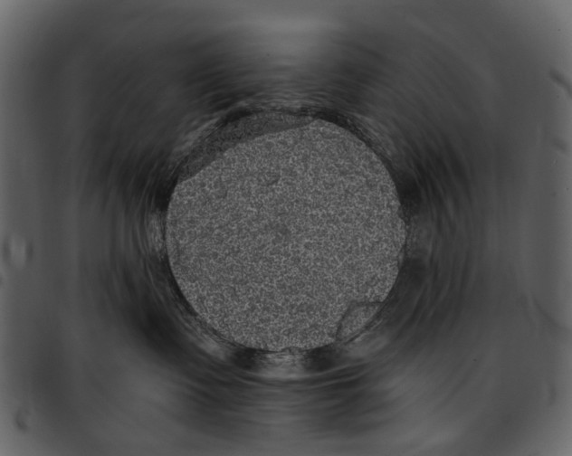 X0000097510335200803201620