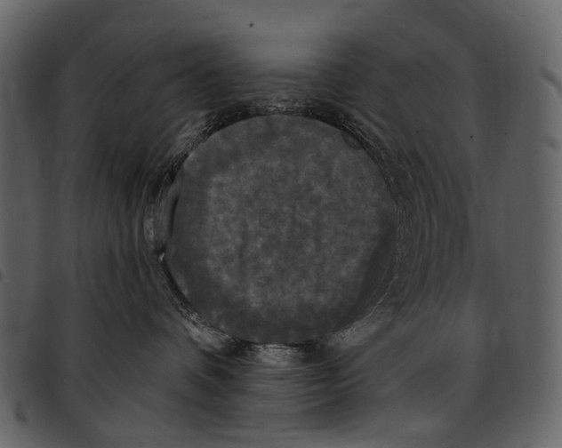 X0000097510336200803201620