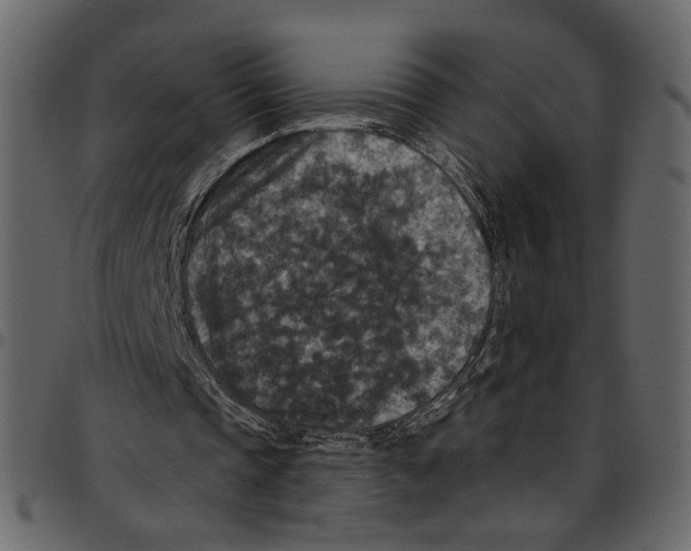 X0000097510337200803201620