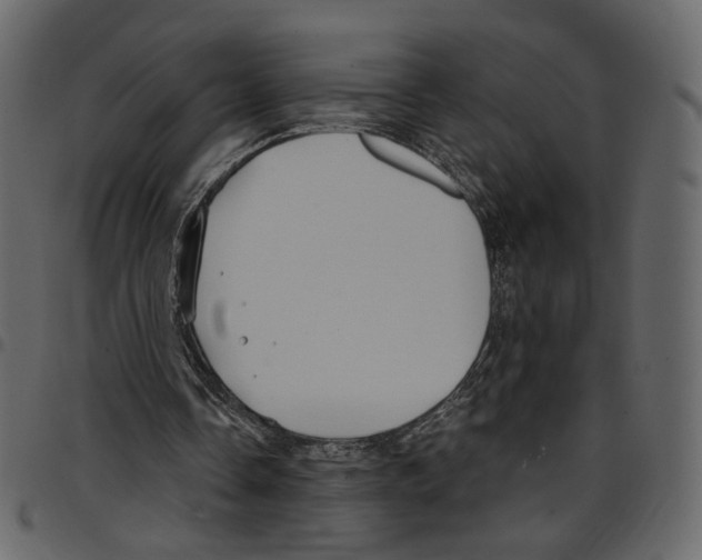 X0000097510338200803201620