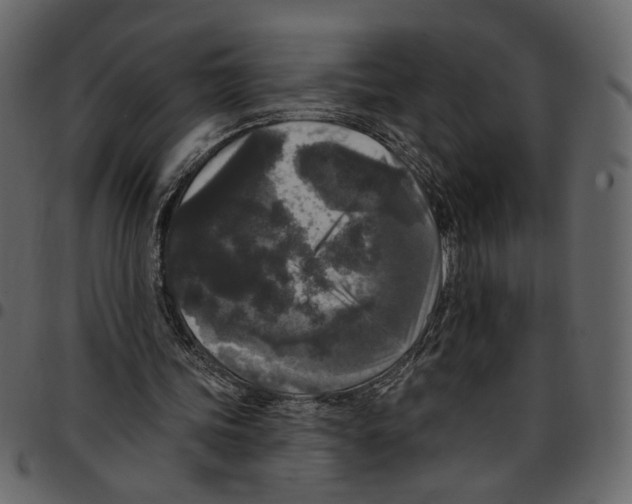 X0000097510339200803201620