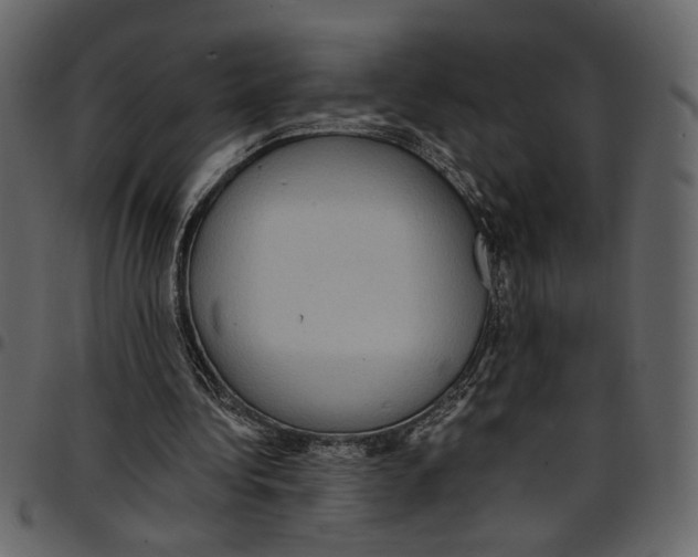 X0000097510340200803201620