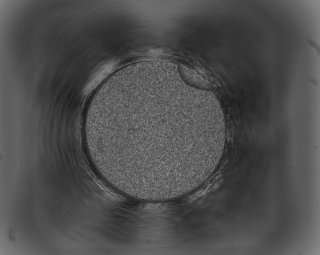 X0000097510341200803201620