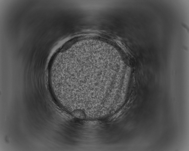 X0000097510342200803201620