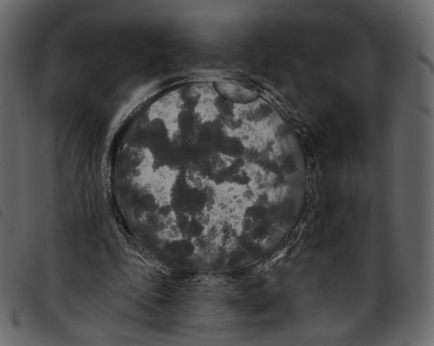 X0000097510343200803201620