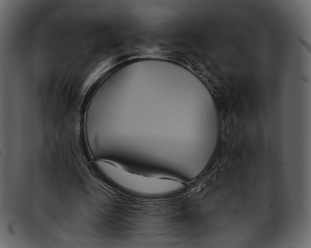 X0000097510344200803201620