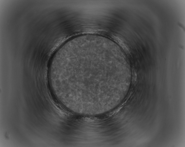 X0000097510346200803201620