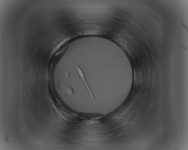 X0000097510348200803201620