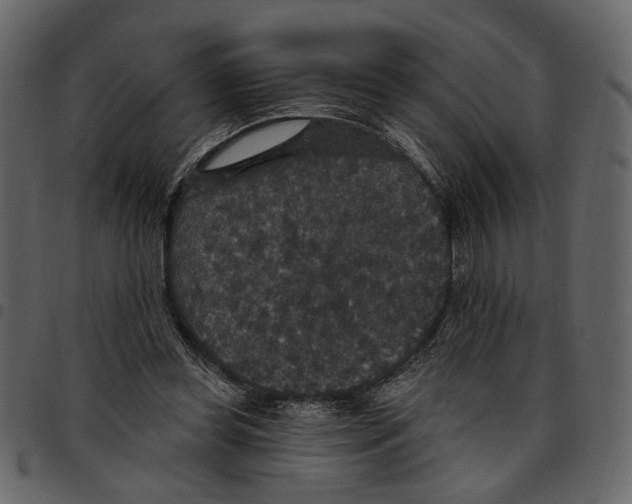 X0000097510349200803201620