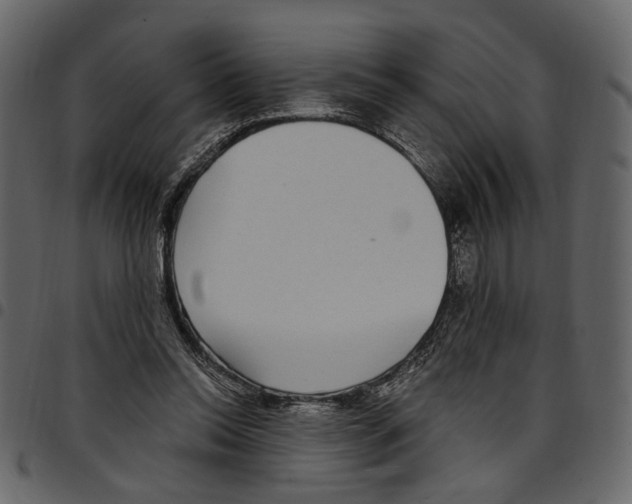 X0000097510350200803201620