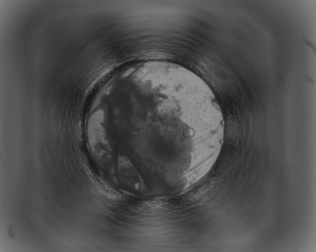 X0000097510351200803201620