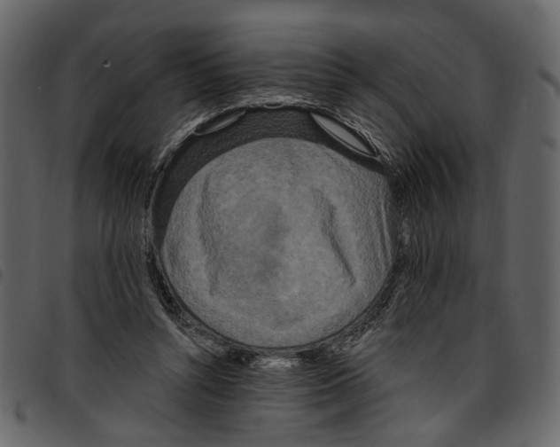 X0000097510352200803201620