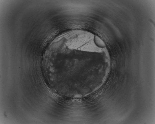 X0000097510353200803201620