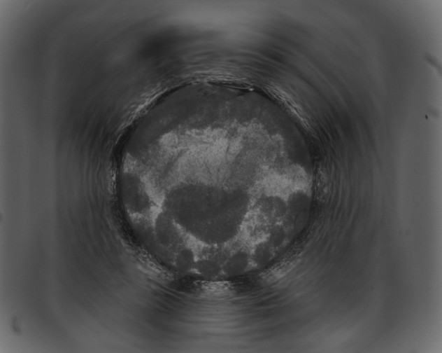 X0000097510355200803201620