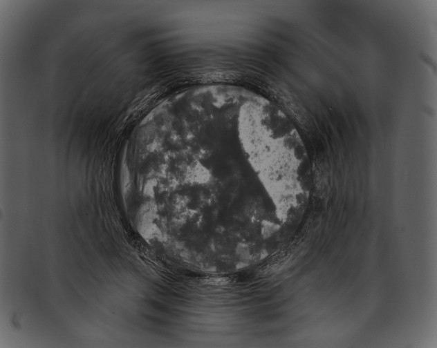 X0000097510357200803201620