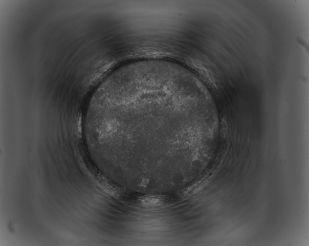 X0000097510358200803201620