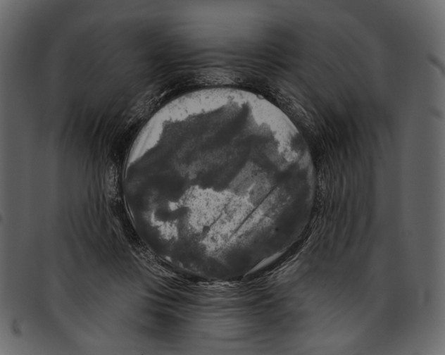 X0000097510359200803201620