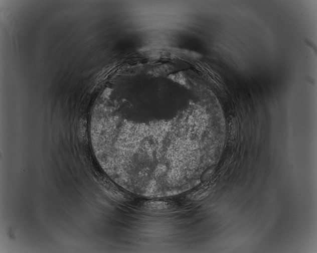 X0000097510361200803201620