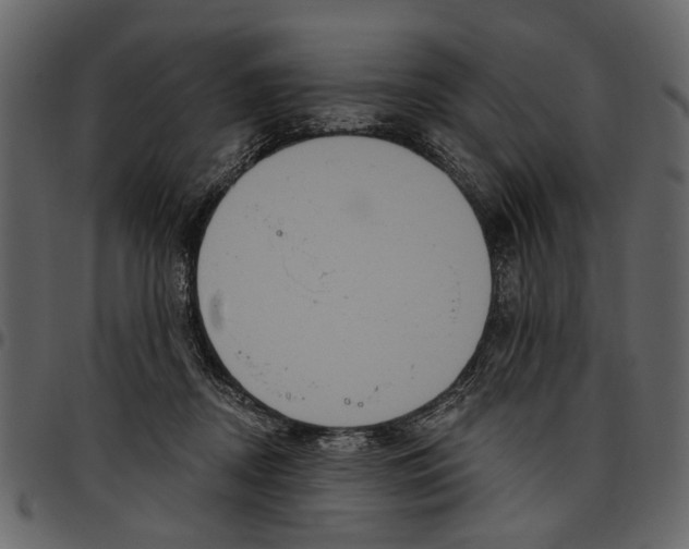 X0000097510362200803201620