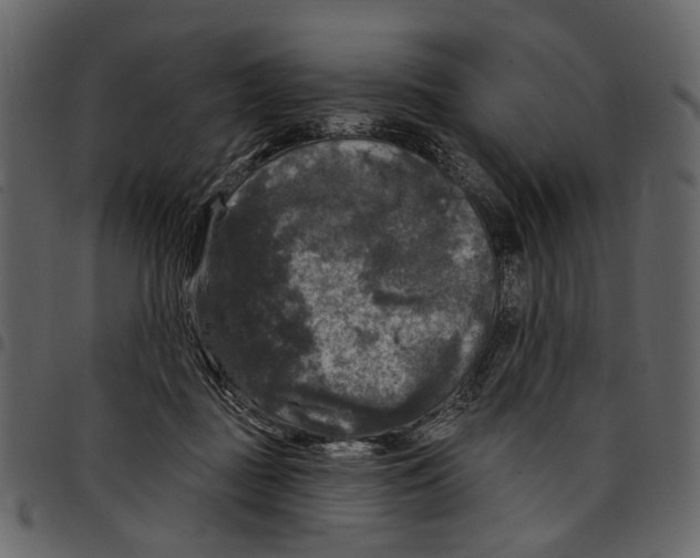 X0000097510363200803201620