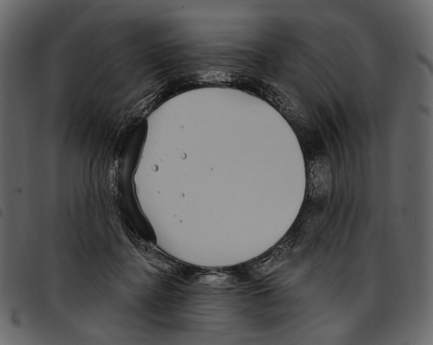 X0000097510364200803201620