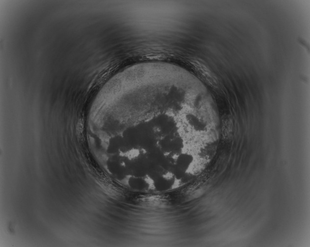 X0000097510365200803201620