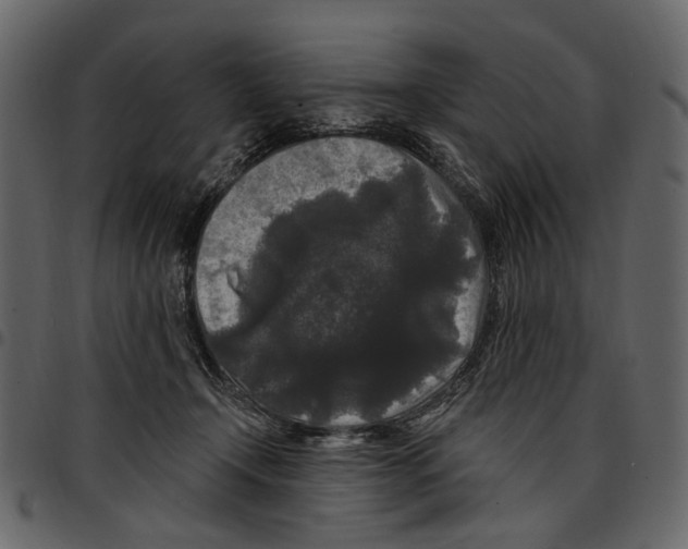X0000097510366200803201620