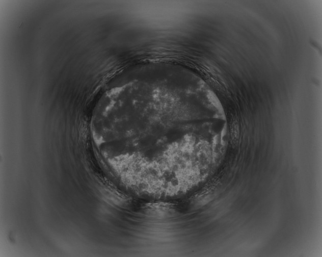 X0000097510367200803201620
