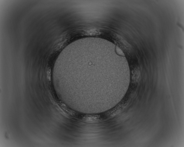 X0000097510368200803201620