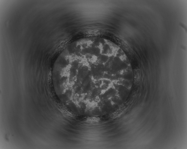 X0000097510369200803201620