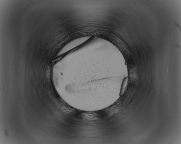 X0000097510372200803201620