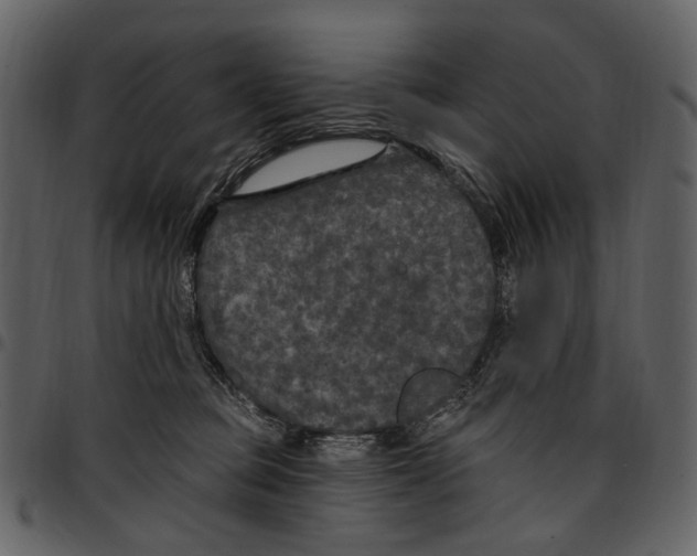 X0000097510373200803201620