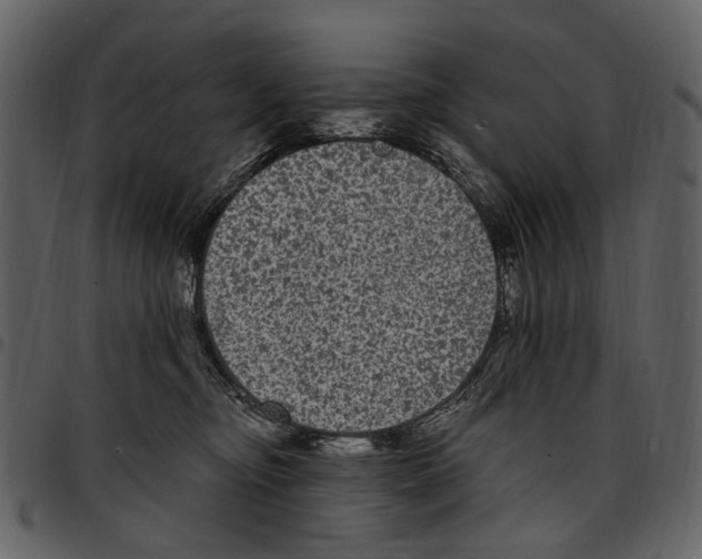 X0000097510374200803201620
