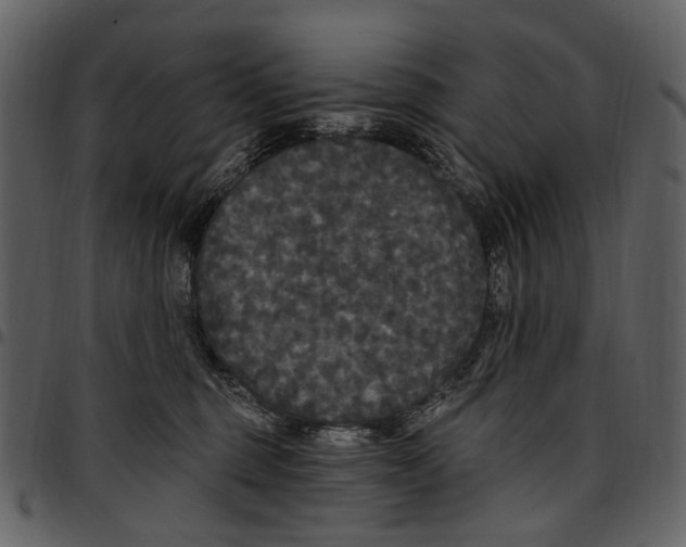 X0000097510375200803201620