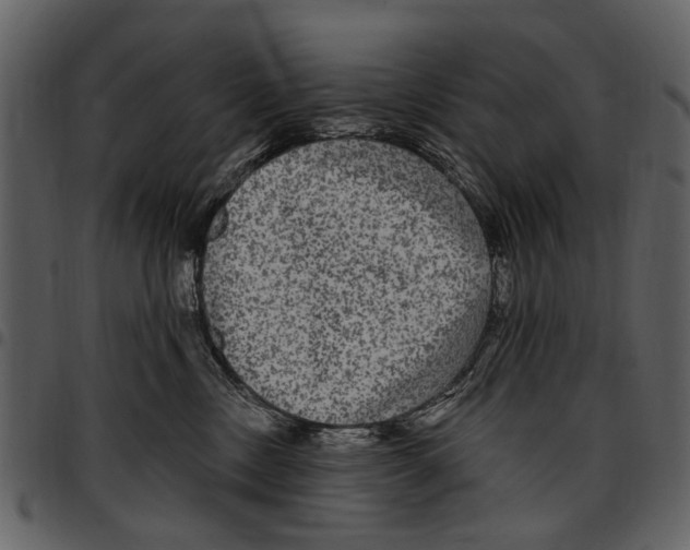 X0000097510378200803201620