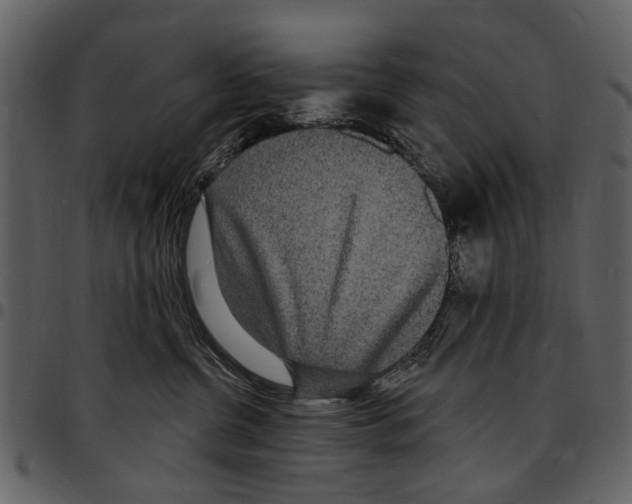 X0000097510380200803201620