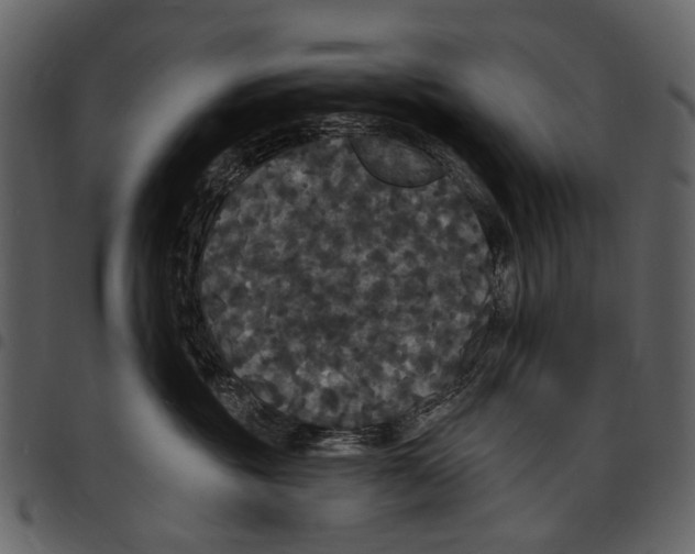 X0000097510381200803201620