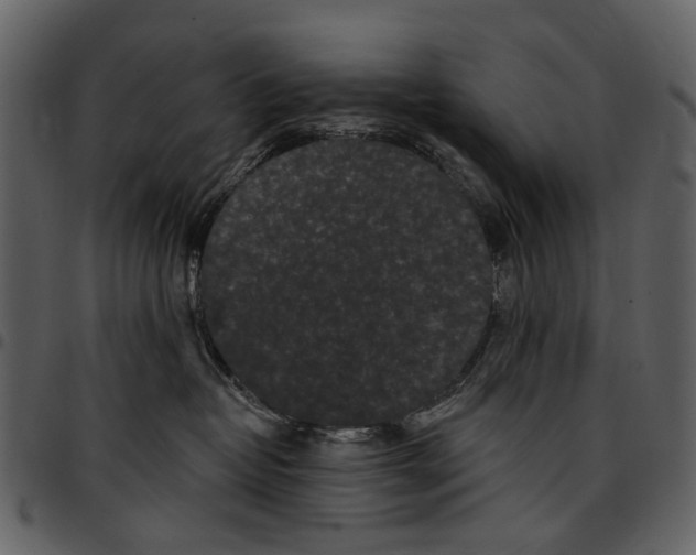 X0000097510382200803201620
