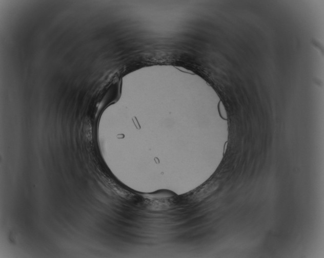 X0000097510384200803201620