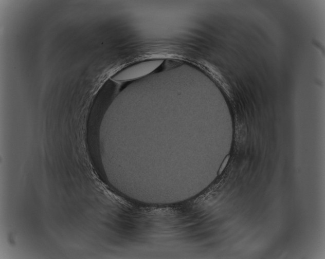 X0000097510385200803201620