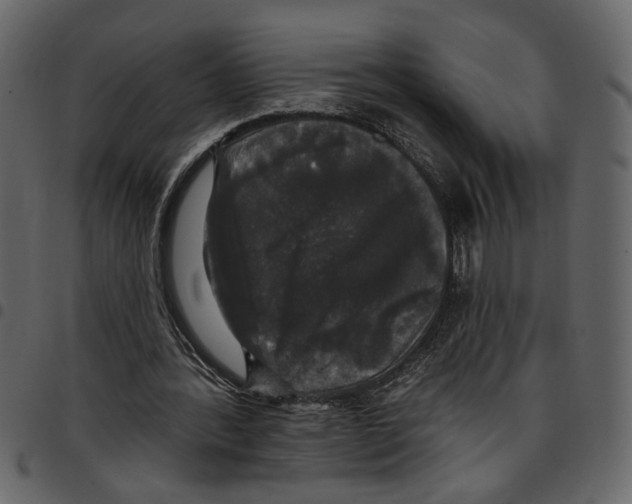 X0000097510388200803201620